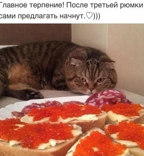 http://upforme.ru/uploads/000d/6b/61/3813/t760711.jpg