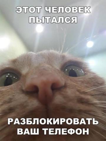 http://upforme.ru/uploads/000d/6b/61/3813/t77278.jpg