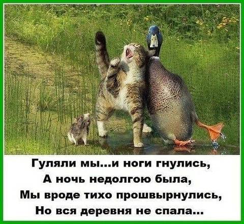 http://upforme.ru/uploads/000d/6b/61/3813/t796614.jpg