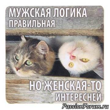 http://upforme.ru/uploads/000d/6b/61/3813/t80339.jpg