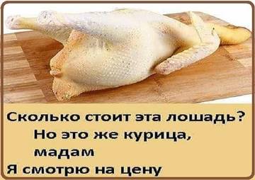 http://upforme.ru/uploads/000d/6b/61/3813/t80366.jpg