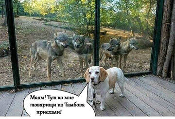 http://upforme.ru/uploads/000d/6b/61/3813/t80811.jpg