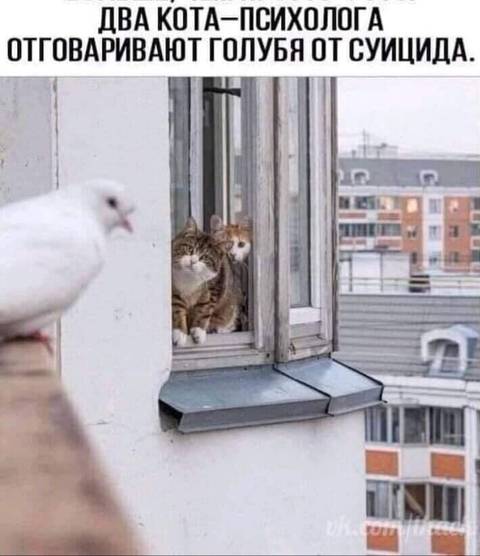 http://upforme.ru/uploads/000d/6b/61/3813/t81678.jpg