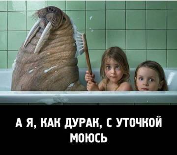 http://upforme.ru/uploads/000d/6b/61/3813/t84258.jpg