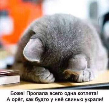 http://upforme.ru/uploads/000d/6b/61/3813/t85170.jpg