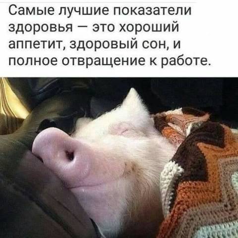 http://upforme.ru/uploads/000d/6b/61/3813/t858699.jpg