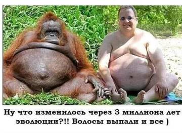 http://upforme.ru/uploads/000d/6b/61/3813/t87209.jpg