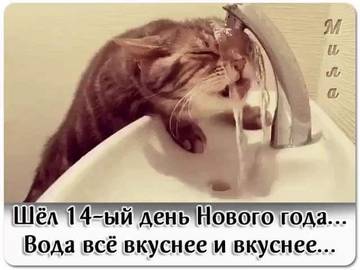 http://upforme.ru/uploads/000d/6b/61/3813/t88462.jpg