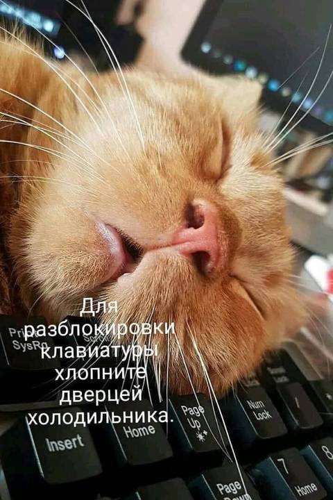 http://upforme.ru/uploads/000d/6b/61/3813/t914172.jpg