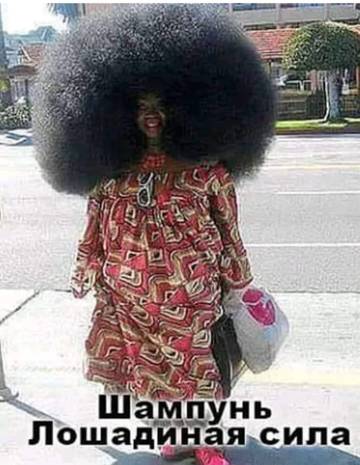 http://upforme.ru/uploads/000d/6b/61/3813/t91515.jpg