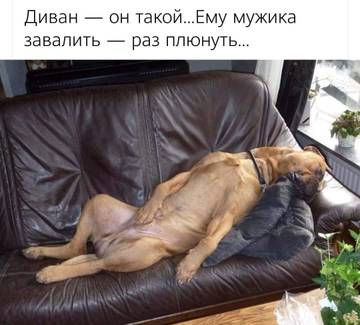 http://upforme.ru/uploads/000d/6b/61/3813/t93254.jpg