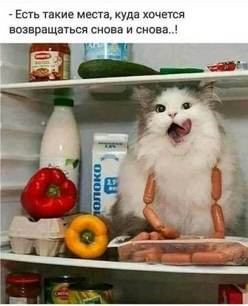 http://upforme.ru/uploads/000d/6b/61/3813/t96449.jpg