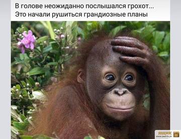 http://upforme.ru/uploads/000d/6b/61/3813/t98071.jpg