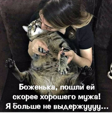 http://upforme.ru/uploads/000d/6b/61/3813/t99501.jpg