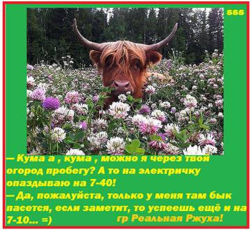 http://upforme.ru/uploads/000d/6b/61/3813/t99725.jpg