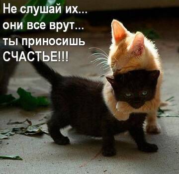 http://upforme.ru/uploads/000d/6b/61/4550/t450005.jpg