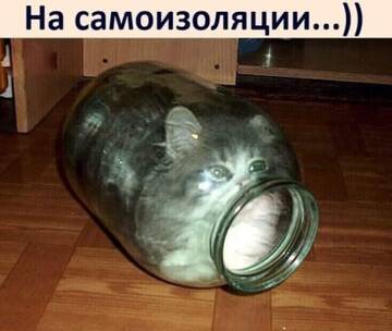 http://upforme.ru/uploads/000d/6b/61/4550/t543150.jpg