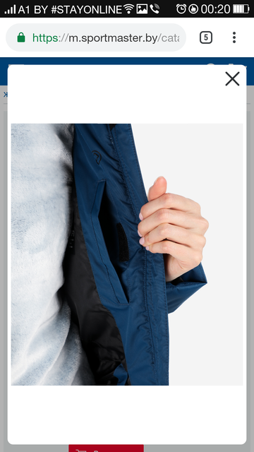 http://upforme.ru/uploads/000d/6b/61/4550/t594021.png