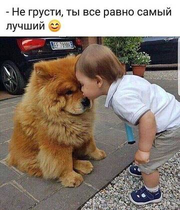 http://upforme.ru/uploads/000d/6b/61/4550/t617225.jpg