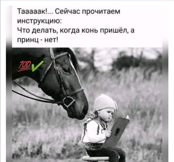 http://upforme.ru/uploads/000d/6b/61/4555/t116790.jpg