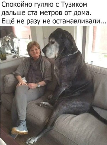 http://upforme.ru/uploads/000d/6b/61/4555/t118884.jpg