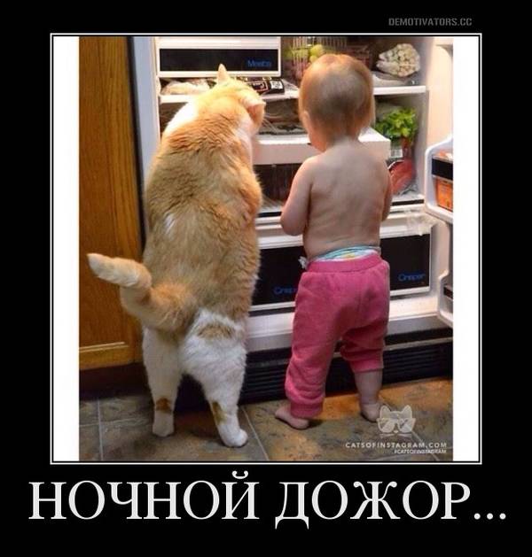 http://upforme.ru/uploads/000d/6b/61/4555/t134030.jpg