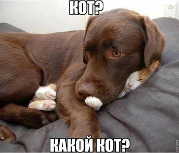 http://upforme.ru/uploads/000d/6b/61/4555/t14374.jpg