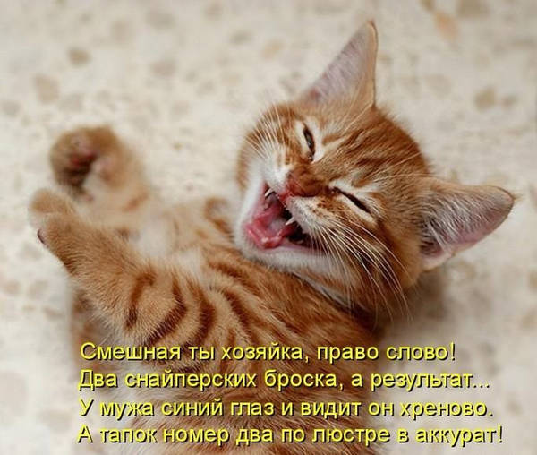 http://upforme.ru/uploads/000d/6b/61/4555/t158137.jpg