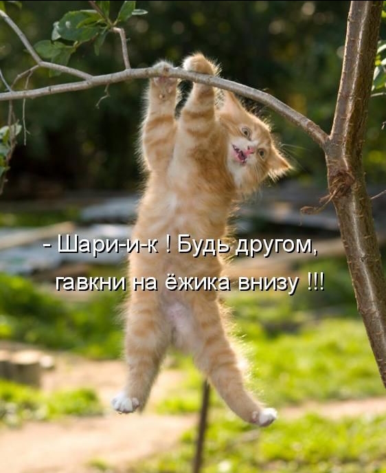 http://upforme.ru/uploads/000d/6b/61/4555/t160286.jpg