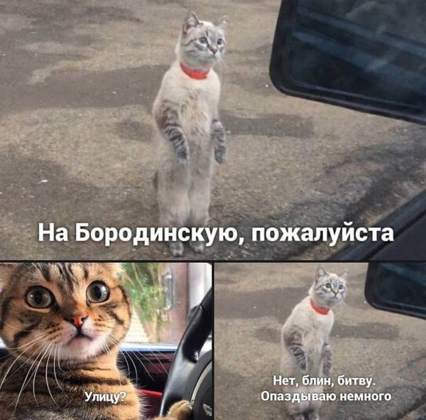 http://upforme.ru/uploads/000d/6b/61/4555/t166911.jpg