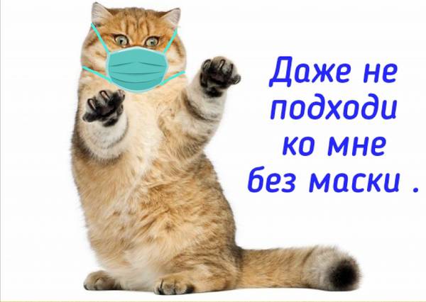http://upforme.ru/uploads/000d/6b/61/4555/t177018.jpg
