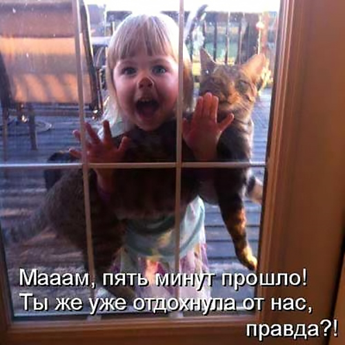 http://upforme.ru/uploads/000d/6b/61/4555/t185565.jpg