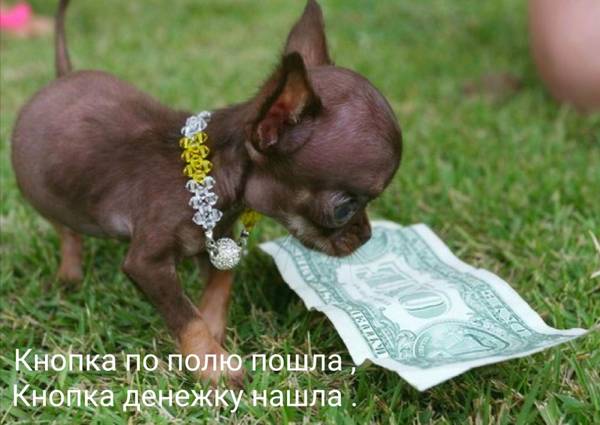 http://upforme.ru/uploads/000d/6b/61/4555/t185782.jpg