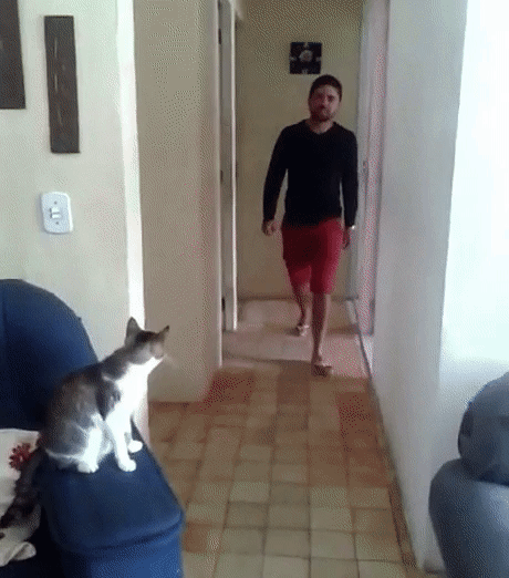 http://upforme.ru/uploads/000d/6b/61/4555/t19556.gif