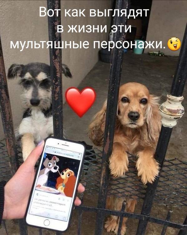 http://upforme.ru/uploads/000d/6b/61/4555/t203657.jpg