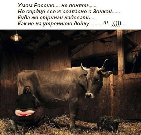 http://upforme.ru/uploads/000d/6b/61/4555/t208403.jpg