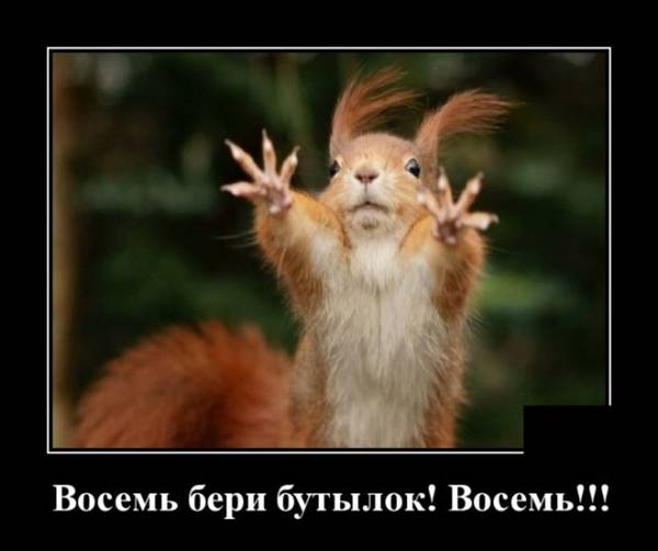 http://upforme.ru/uploads/000d/6b/61/4555/t220823.jpg