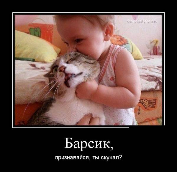 http://upforme.ru/uploads/000d/6b/61/4555/t249604.jpg