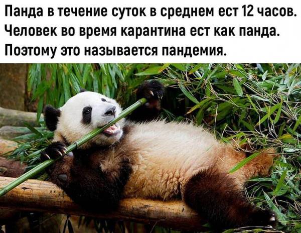 http://upforme.ru/uploads/000d/6b/61/4555/t253703.jpg