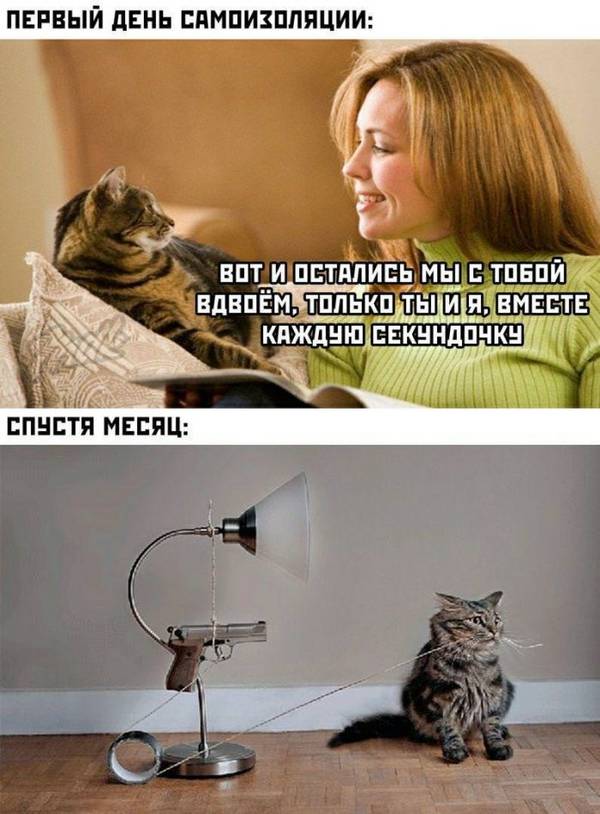 http://upforme.ru/uploads/000d/6b/61/4555/t255924.jpg