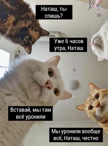 http://upforme.ru/uploads/000d/6b/61/4555/t256367.png