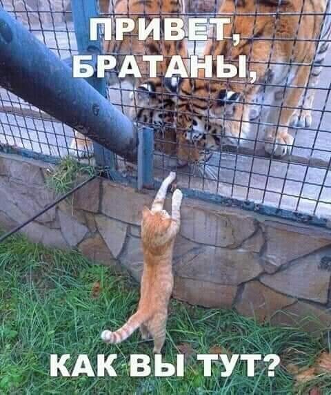 http://upforme.ru/uploads/000d/6b/61/4555/t273752.jpg