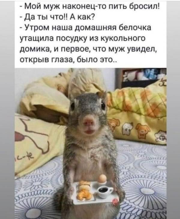 http://upforme.ru/uploads/000d/6b/61/4555/t275549.jpg