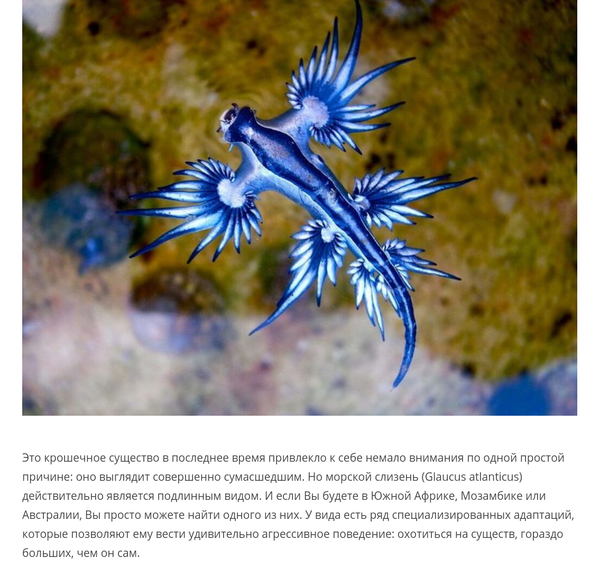 http://upforme.ru/uploads/000d/6b/61/4555/t284529.png