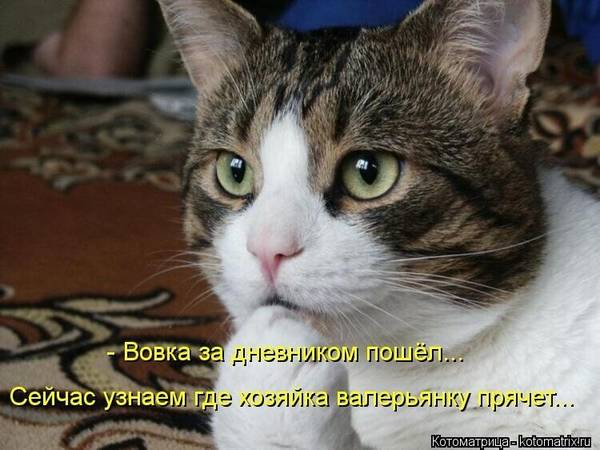 http://upforme.ru/uploads/000d/6b/61/4555/t286839.jpg