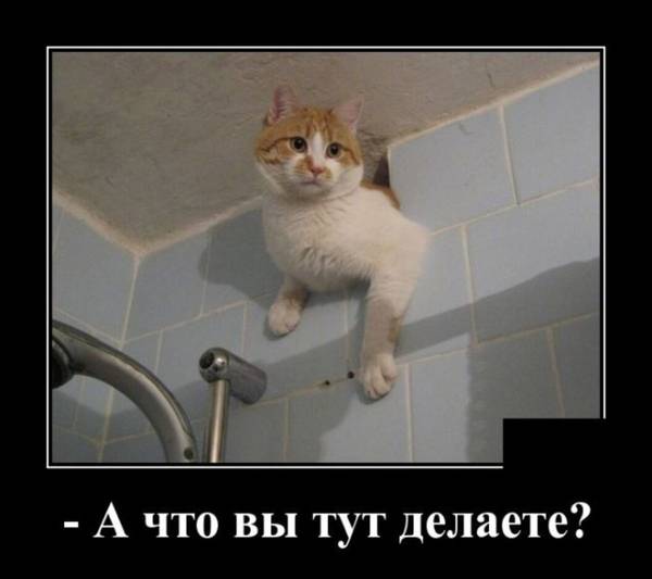 http://upforme.ru/uploads/000d/6b/61/4555/t314413.jpg