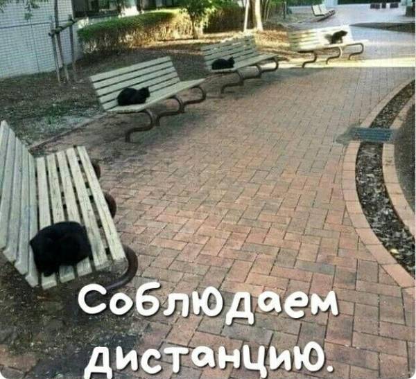 http://upforme.ru/uploads/000d/6b/61/4555/t316785.jpg