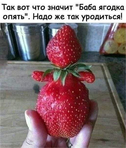 http://upforme.ru/uploads/000d/6b/61/4555/t345444.jpg