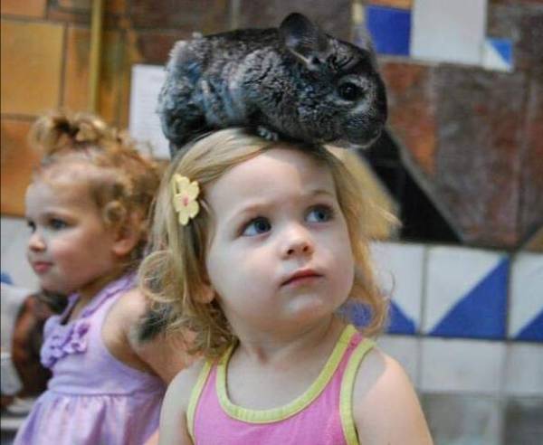 http://upforme.ru/uploads/000d/6b/61/4555/t36233.jpg