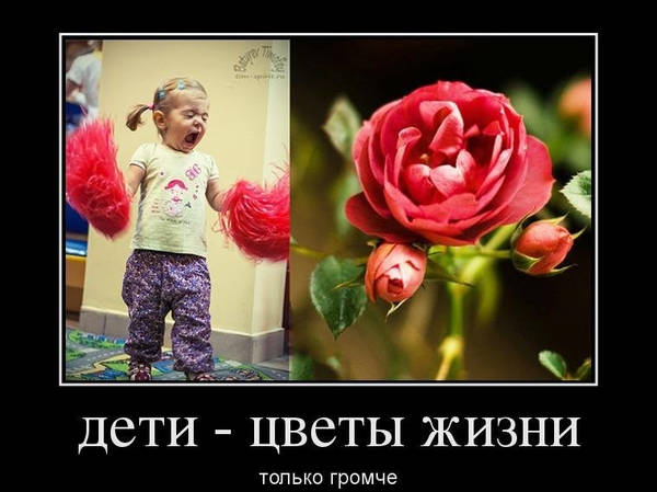 http://upforme.ru/uploads/000d/6b/61/4555/t364355.jpg